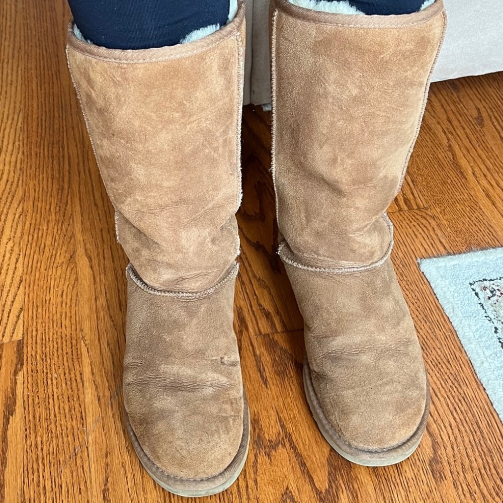Classic Tall Chestnut Uggs